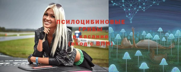 дмт Абинск