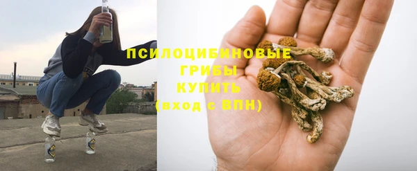альфа пвп Инта