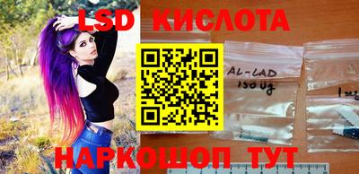 шишки Славгород