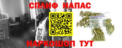 шишки Славгород