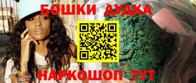 шишки Славгород