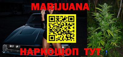 шишки Славгород