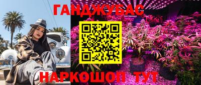 шишки Славгород