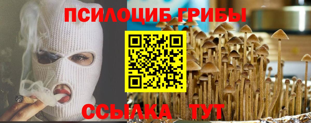Псилоцибиновые грибы Psilocybine cubensis Фрязино