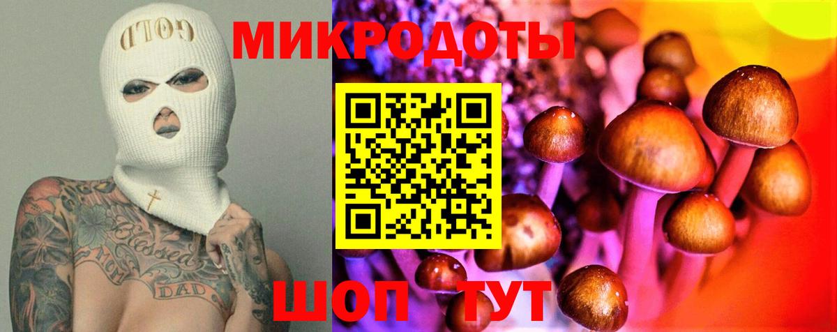 Псилоцибиновые грибы Cubensis  Вход с VPN  Фрязино 